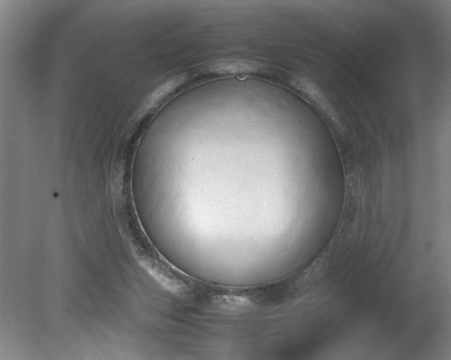 X0000081270159200701181726