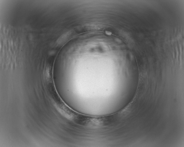 X0000081270166200701181726
