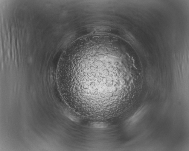 X0000081270169200701181726