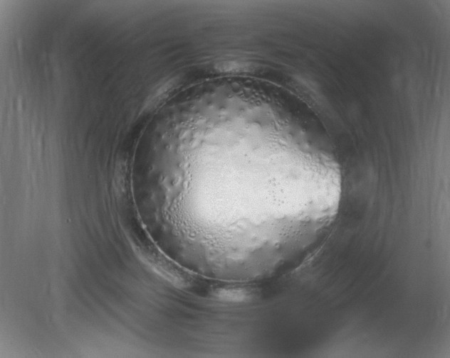 X0000081270171200701181726