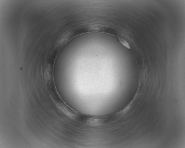 X0000081270174200701181726