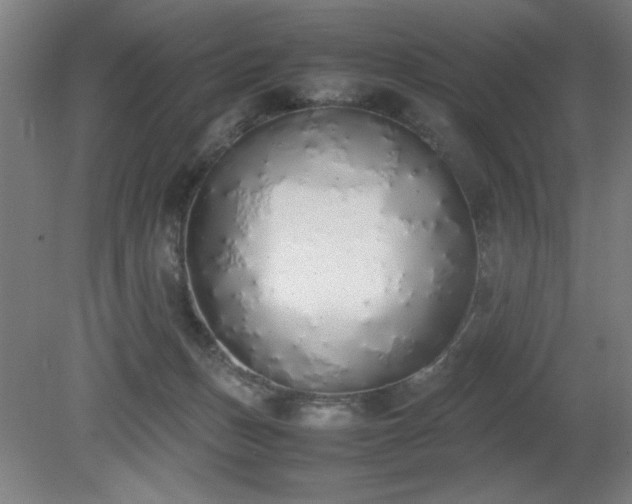 X0000081270175200701181726