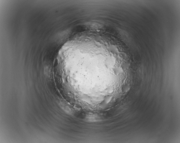 X0000081270177200701181726