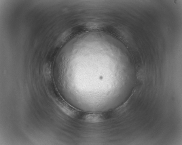 X0000081270179200701181726