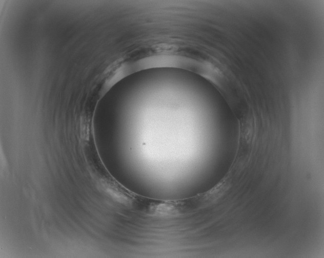 X0000081270180200701181726