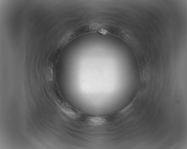 X0000081270183200701181726