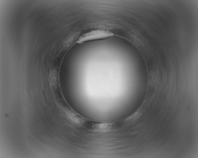 X0000081270184200701181726