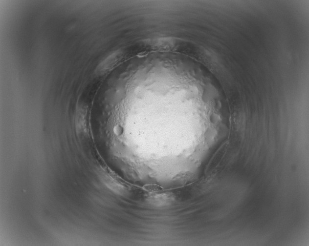 X0000081270185200701181726