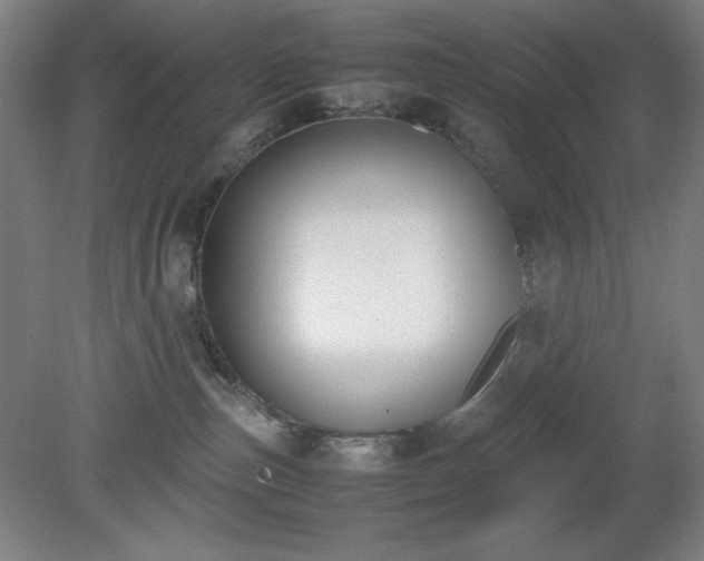 X0000081270187200701181726