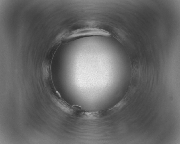 X0000081270188200701181726