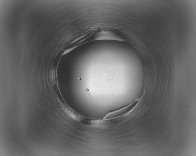 X0000081270192200701181726