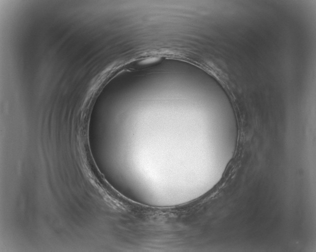 X0000081270193200701181726