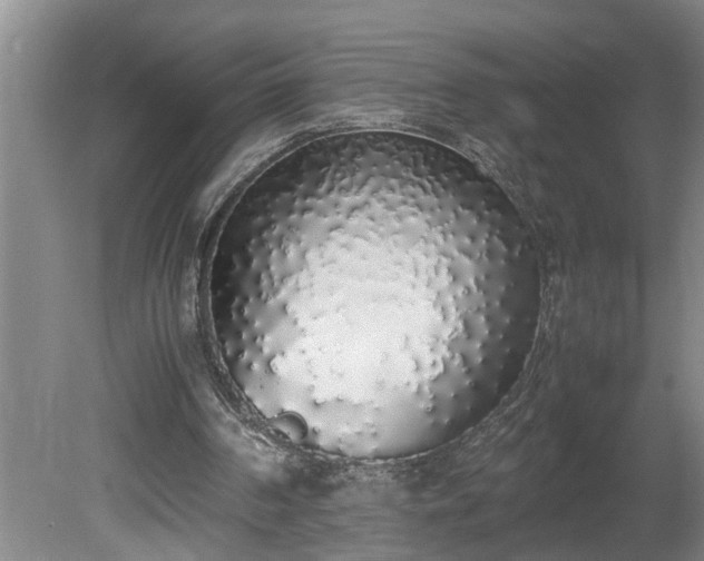 X0000081270194200701181726