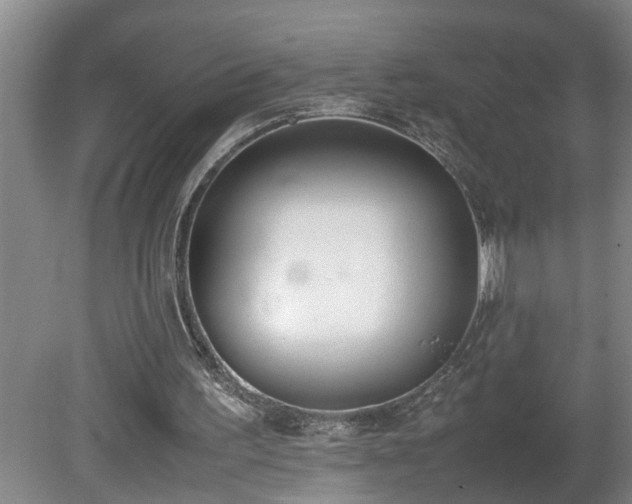 X0000081270195200701181726