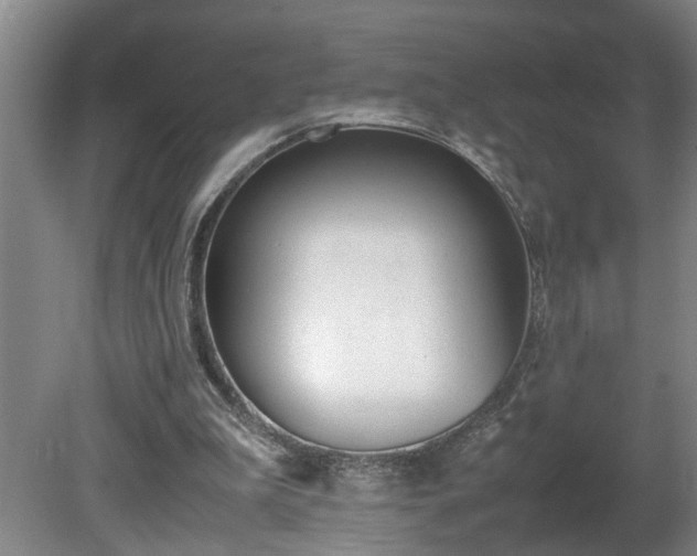X0000081270199200701181726