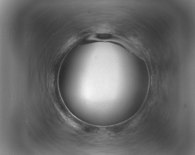 X0000081270201200701181726