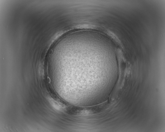 X0000081270204200701181725