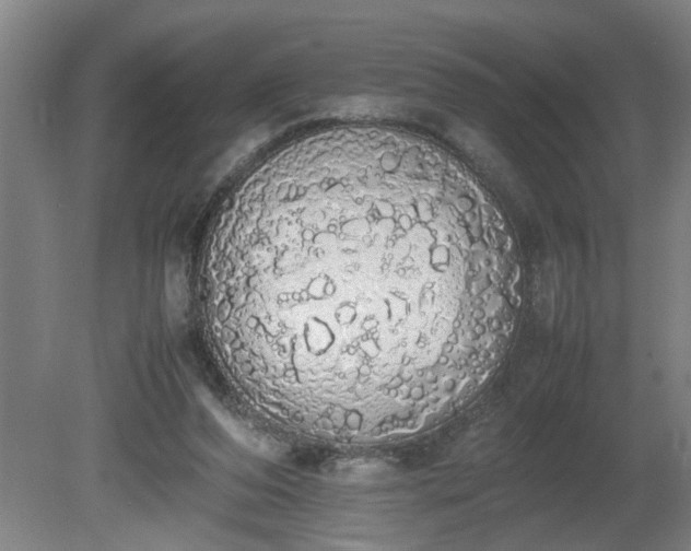 X0000081270208200701181725