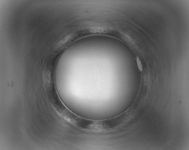 X0000081270211200701181725