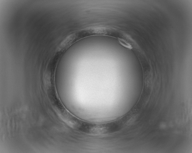 X0000081270213200701181725