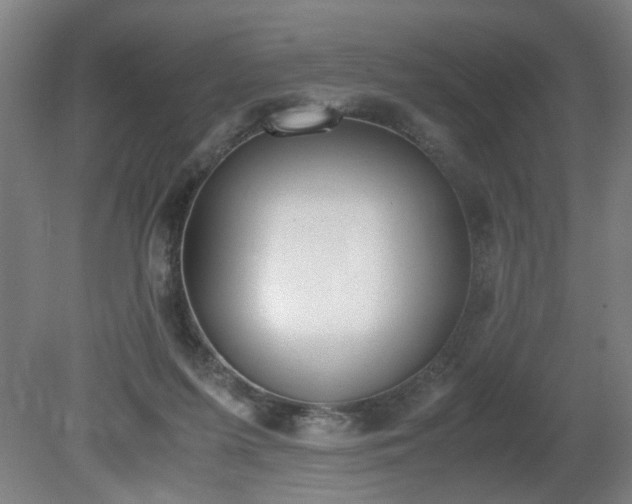 X0000081270215200701181725