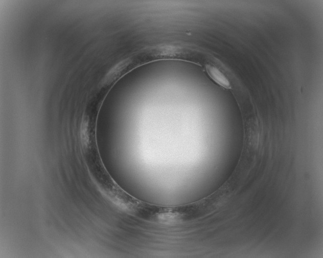 X0000081270216200701181725