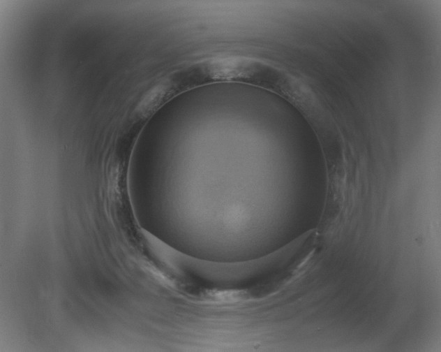 X0000081270219200701181725