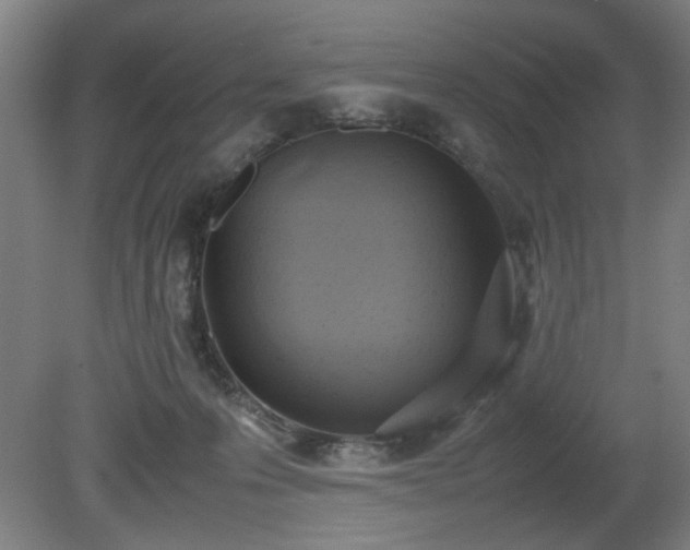 X0000081270223200701181725