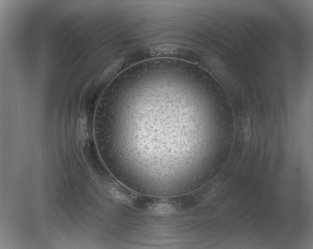 X0000081270224200701181725