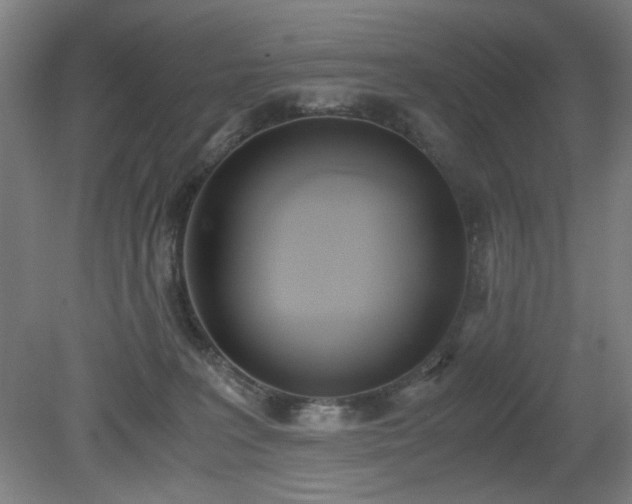 X0000081270227200701181725