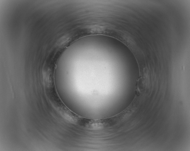 X0000081270228200701181725