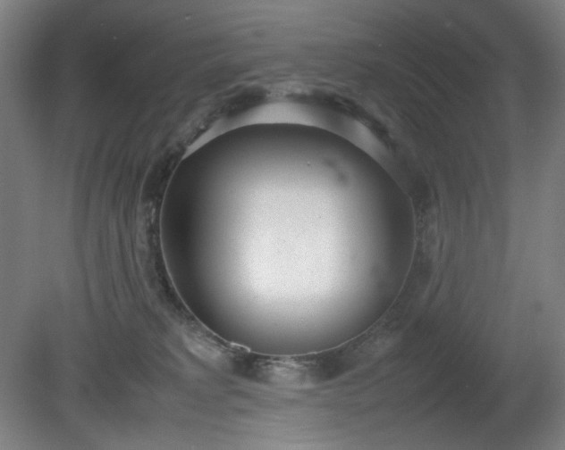 X0000081270229200701181725