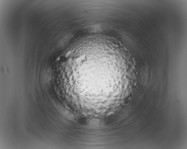 X0000081270230200701181725
