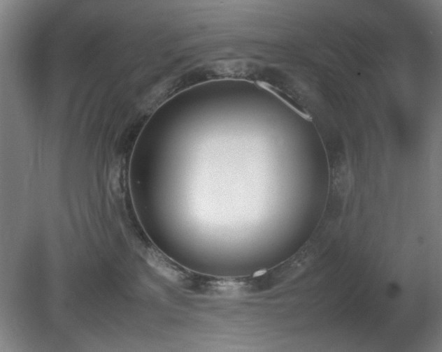 X0000081270233200701181725