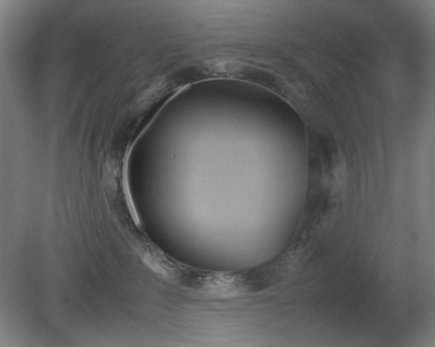 X0000081270235200701181725
