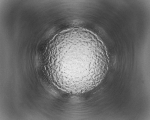 X0000081270236200701181725