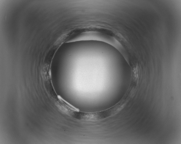 X0000081270237200701181725