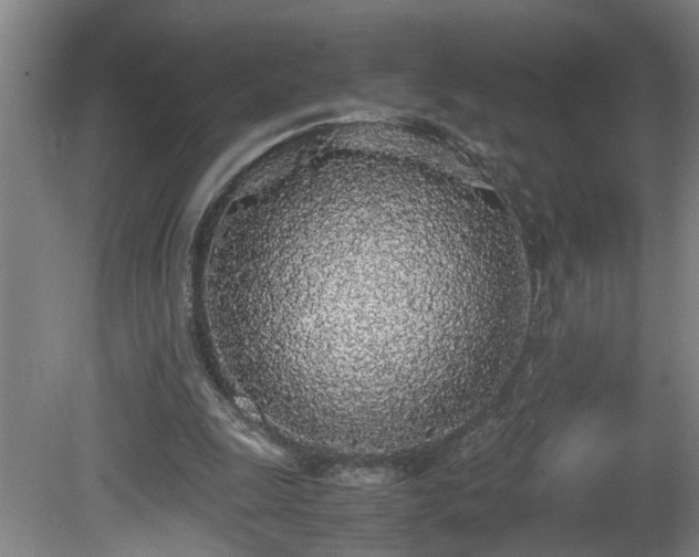 X0000081270247200701181724