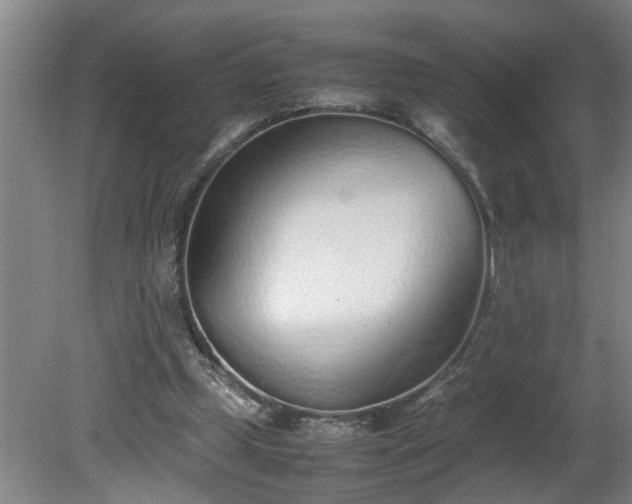 X0000081270249200701181724