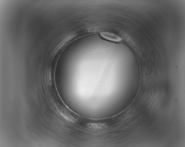 X0000081270251200701181724
