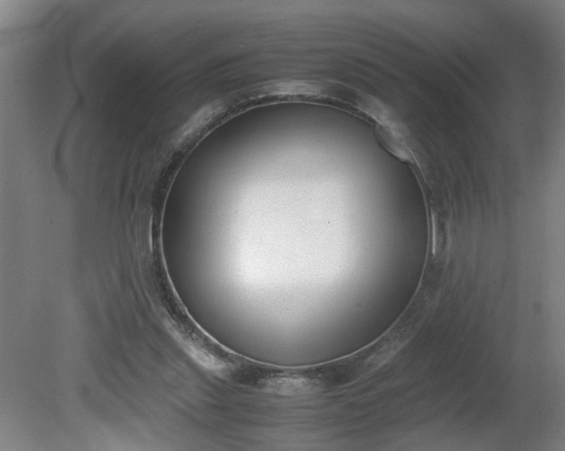 X0000081270253200701181724
