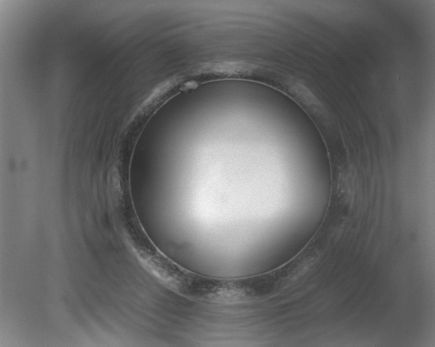 X0000081270256200701181724