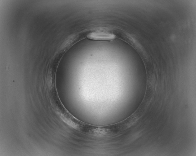 X0000081270261200701181724