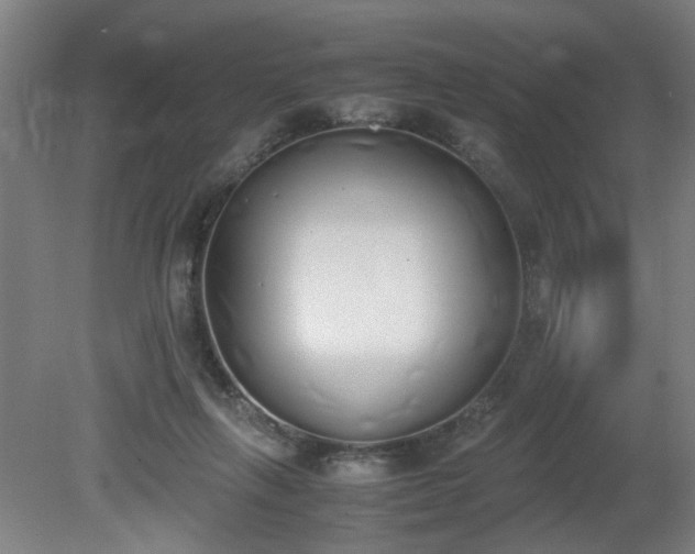 X0000081270263200701181724