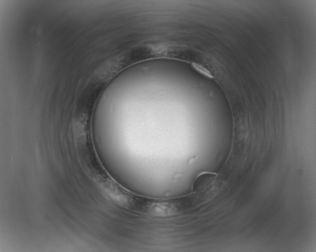 X0000081270275200701181725
