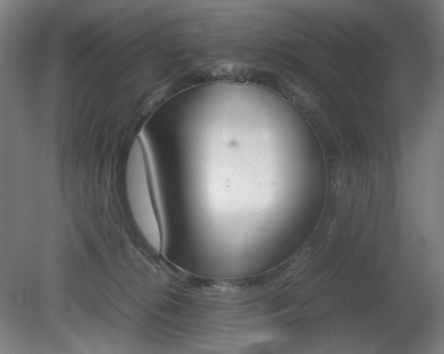 X0000081270276200701181725