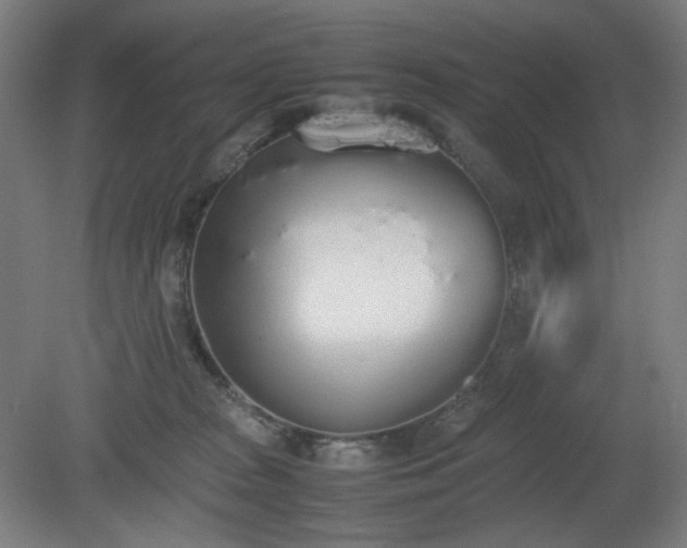 X0000081270277200701181725