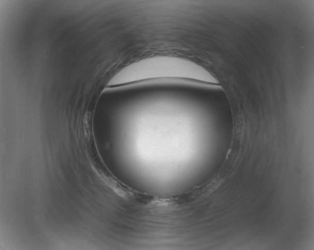 X0000081270280200701181725