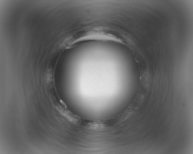 X0000081270284200701181725