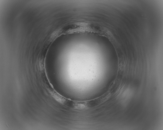 X0000081270285200701181725